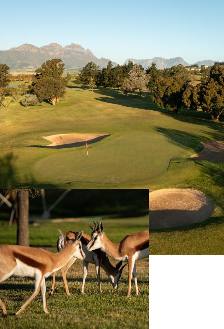 Devonvale Golf Club