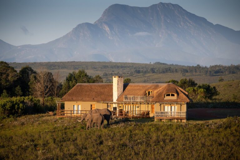 Foto: Gondwana Game Reserve