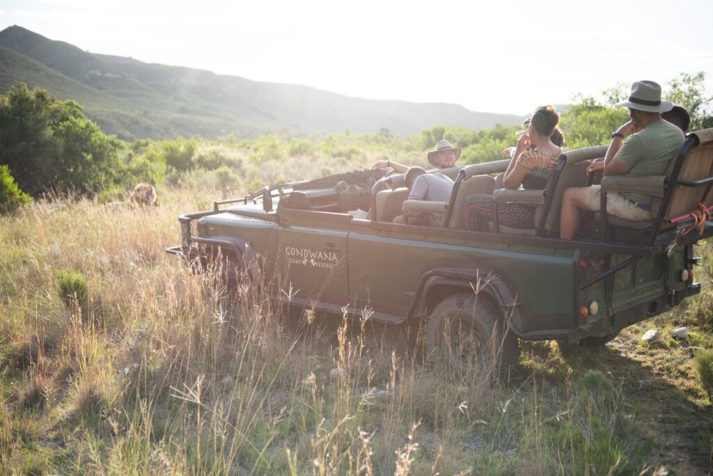 Gondwana Game Reserve — Pirschfahrt im offenen Geländewagen