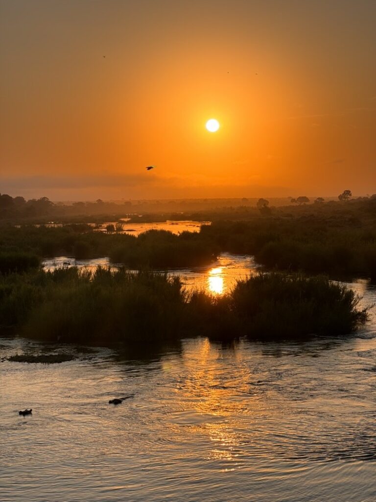 Krügerpark: Sonnenaufgang am Wasserloch