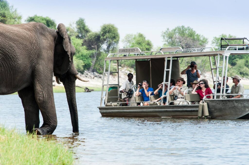Elefant am Ufer, Pirschfahrt im Tenderboot